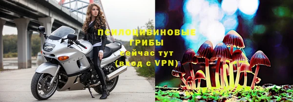 2c-b Заводоуковск