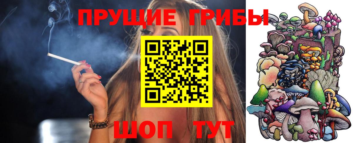 Псилоцибиновые грибы MAGIC MUSHROOMS Ишимбай